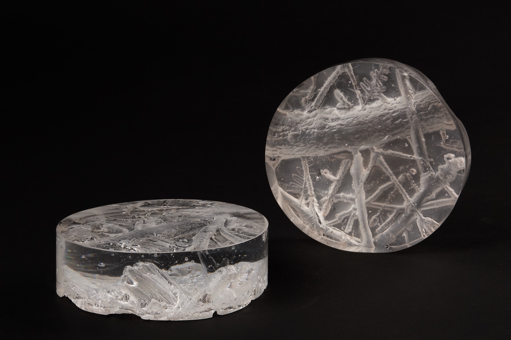 Hana Renko, A Tale of Forest Glass, Cast glass, 2024